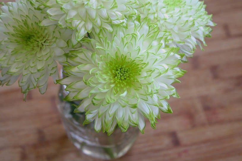 decoracao floral vasos