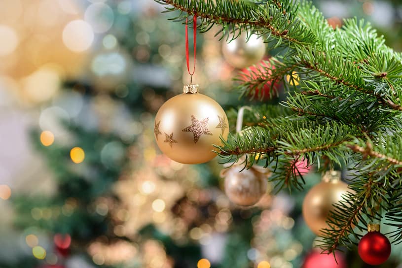 A árvore é um ícone e faz parte da decoração de Natal para sala. Qual estilo é seu favorito?